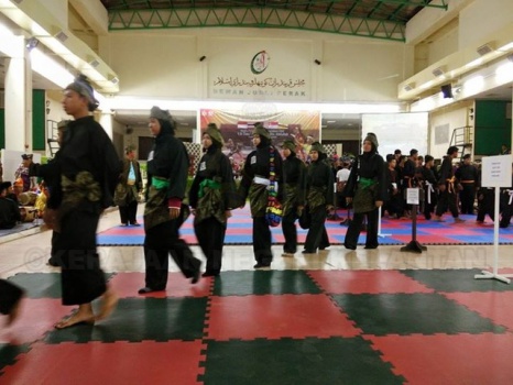 Karnival Seni Silat Nusantara3