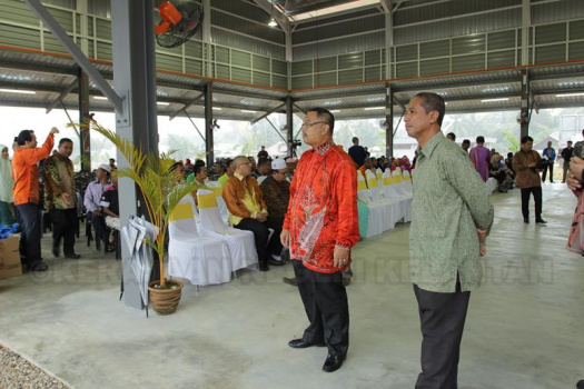 IMG 3468 (Copy)