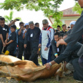 Sultan Muhammad V berkenan menyembelih dua ekor daripada 59 ekor lembu yang disediakan pada majlis itu
