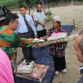 IMG 4175