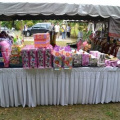Program Ketua Jajahan Pasir Mas Masuk Kampung Pada 31 Disember 2015 di Pejabat Penggawa Daerah Kangkong