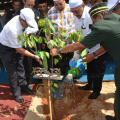 Dato' Haji Ahmad bin Yaakob Menyiram Pokok Yang Telah Ditanam