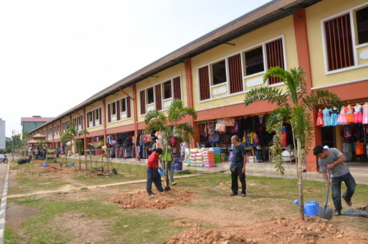 Pokok Yang Telah Berjaya Ditanam