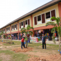 Pokok Yang Telah Berjaya Ditanam