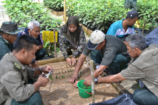 Para Peserta Turut Diajar Teknik Pembiakbakaan Kacip Fatimah Secara Amali