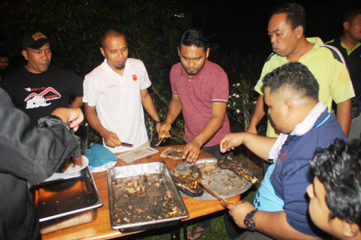 pulau11