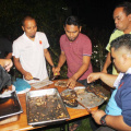 pulau11