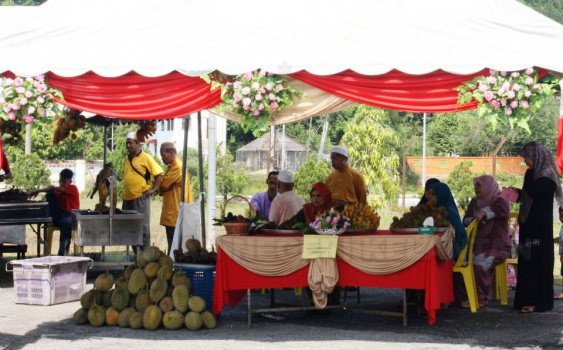 raya3
