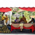 raya3