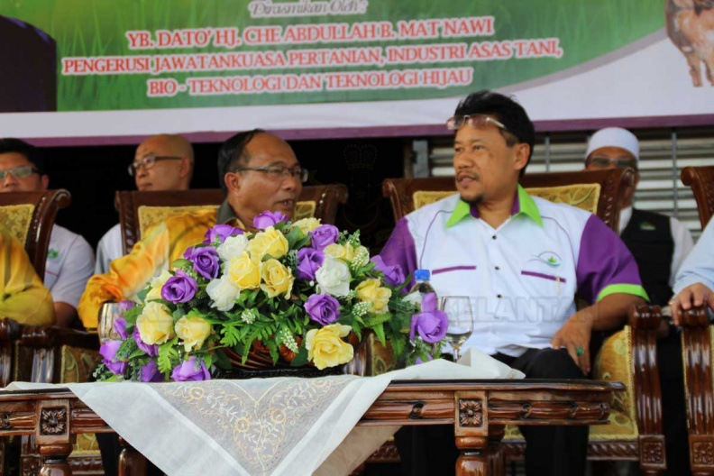 28 Oktober 2015 bersamaan 15 Muharram 1437H, Majlis Perasmian Karnival Bertani Satu Ibadah dan Pelancaran Dapur Hijau Peringkat Jajahan Pasir Mas Tahun 2015 telah diadakan di Mini Stadium Pasir Mas. Majlis Perasmian ini bermula 3.00 petang dengan ucapan kata alu-aluan oleh YB Dato'Hj Che Abdullah B. Mat Nawi (Pengerusi Jawatankuasa Pertanian, Insdustri Asas Tani, Bio Teknologi dan Teknologi Hijau Negeri Kelantan).
Majlis ini disertakan dengan Penyampaian Anugerah Peladang Terbaik Jajahan, Penternak Terbaik Jajahan, Petani Terbaik Jajahan dan diikuti dengan penyampaian Pertandingan Masak Kerabu, Pertandingan Ukiran Tembikai, Petani Terbaik Jajahan. Disamping itu, Upacara penyampaian cenderamata juga diadakan, sebelum upacara penyampaian berakhir, Majlis dimeriahkan lagi dengan Persembahan silap mata. Majlis diteruskan lagi dengan lawatan ke Gerai-Gerai yang terdapat di Karnival. Sebelum Majlis bersurai, Upacara minum petang diadakan buat semua tetamu yang dijemput. IMG_1574.jpg