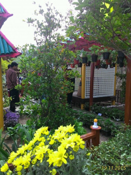 Pesta Flora 2015 19-22 NOV 2015
