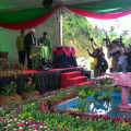 Pesta Flora 2015 19-22 NOV 2015