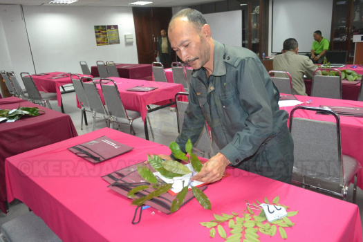 Kursus Pengecaman Pokok & Daun 2016 (16)