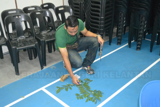 Kursus Pengecaman Pokok & Daun 2016 (15)