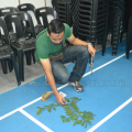 Kursus Pengecaman Pokok & Daun 2016 (15)