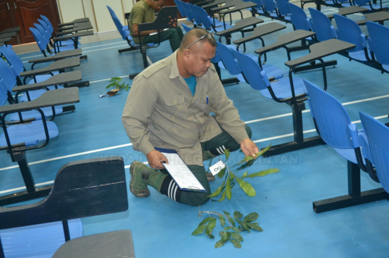 Kursus Pengecaman Pokok & Daun 2016 (14) - Kursus Pengecaman Pokok & Daun 2016 (14).jpg Kursus Pengecaman Pokok & Daun 2016 (14).jpg