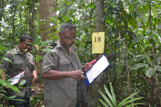 Kursus Pengecaman Pokok & Daun 2016 (20)
