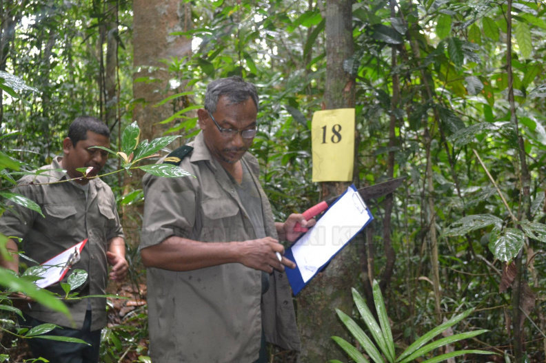 Kursus Pengecaman Pokok & Daun 2016 (20) - Kursus Pengecaman Pokok & Daun 2016 (20).jpg Kursus Pengecaman Pokok & Daun 2016 (20).jpg