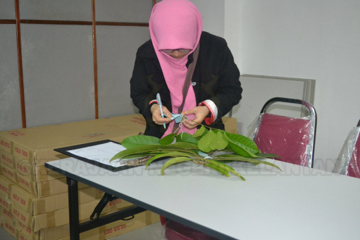 Kursus Pengecaman Pokok & Daun 2016 (18)