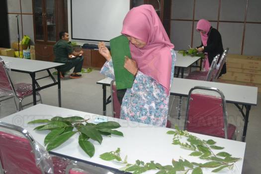 Kursus Pengecaman Pokok & Daun 2016 (17)