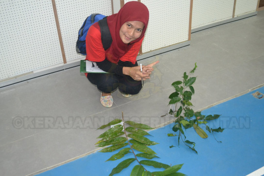Kursus Pengecaman Pokok & Daun 2016 (21)