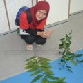 Kursus Pengecaman Pokok & Daun 2016 (21)