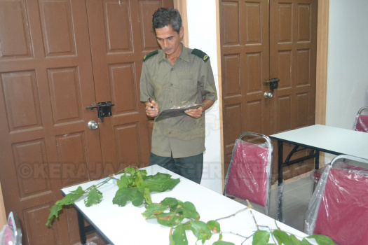 Kursus Pengecaman Pokok & Daun 2016 (22)