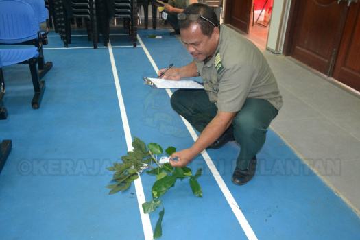 Kursus Pengecaman Pokok & Daun 2016 (26)