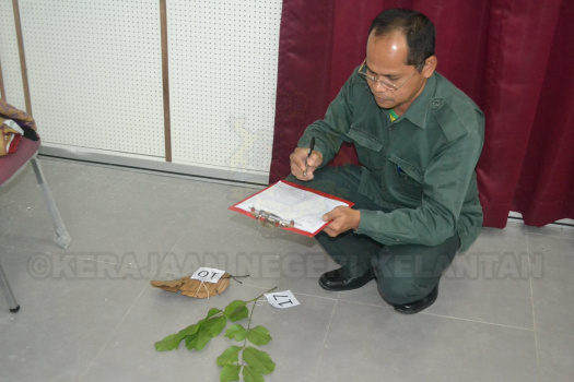 Kursus Pengecaman Pokok & Daun 2016 (23)