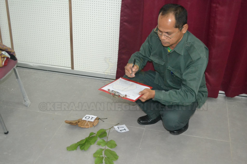 Kursus Pengecaman Pokok & Daun 2016 (23) - Kursus Pengecaman Pokok & Daun 2016 (23).jpg Kursus Pengecaman Pokok & Daun 2016 (23).jpg