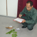 Kursus Pengecaman Pokok & Daun 2016 (23)
