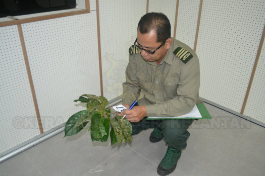 Kursus Pengecaman Pokok & Daun 2016 (25)
