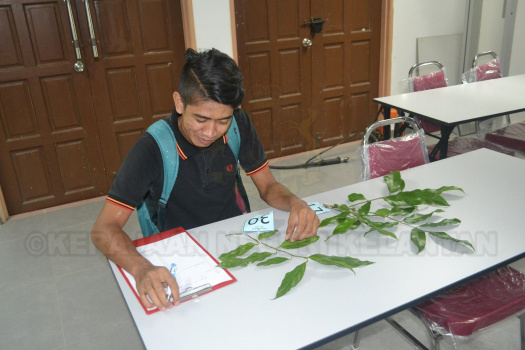 Kursus Pengecaman Pokok & Daun 2016 (27)
