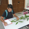 Kursus Pengecaman Pokok & Daun 2016 (27)