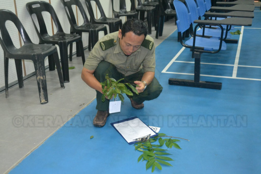 Kursus Pengecaman Pokok & Daun 2016 (32)