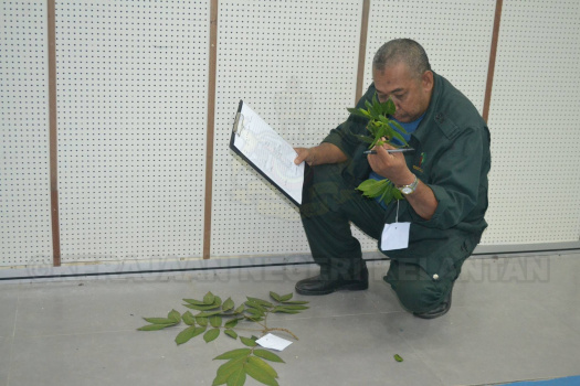 Kursus Pengecaman Pokok & Daun 2016 (29)