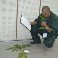 Kursus Pengecaman Pokok & Daun 2016 (29)