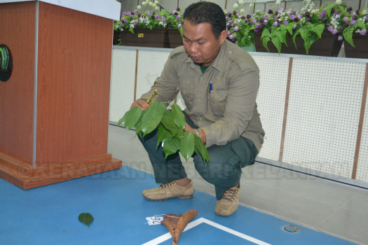 Kursus Pengecaman Pokok & Daun 2016 (28)