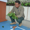 Kursus Pengecaman Pokok & Daun 2016 (28)