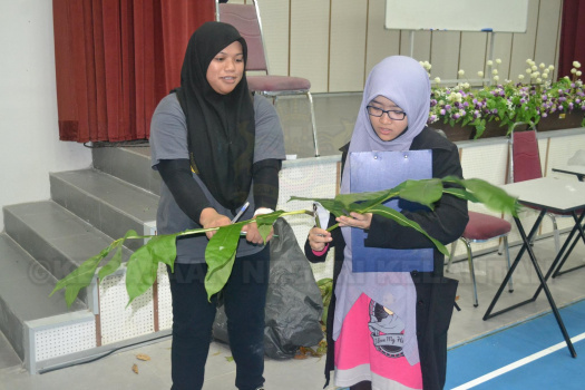Kursus Pengecaman Pokok & Daun 2016 (35)