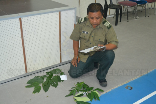 Kursus Pengecaman Pokok & Daun 2016 (33)