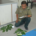 Kursus Pengecaman Pokok & Daun 2016 (33)