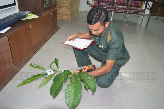 Kursus Pengecaman Pokok & Daun 2016 (34)