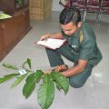 Kursus Pengecaman Pokok & Daun 2016 (34)
