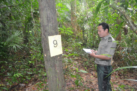 Kursus Pengecaman Pokok & Daun 2016 (38)