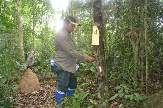 Kursus Pengecaman Pokok & Daun 2016 (42)