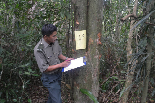 Kursus Pengecaman Pokok & Daun 2016 (41)