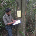 Kursus Pengecaman Pokok & Daun 2016 (41)