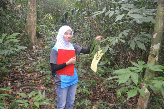 Kursus Pengecaman Pokok & Daun 2016 (43)