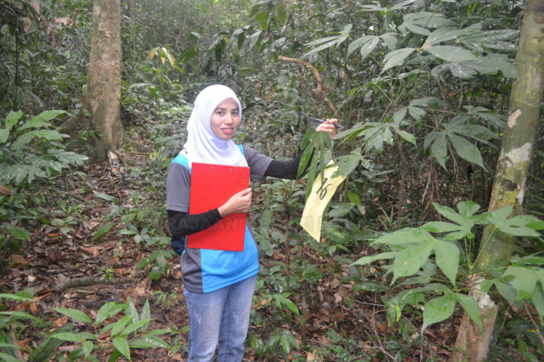 Kursus Pengecaman Pokok & Daun 2016 (43).jpg